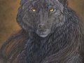 moonshadowwolf.jpg
